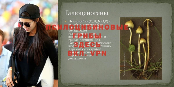 apvp Заводоуковск