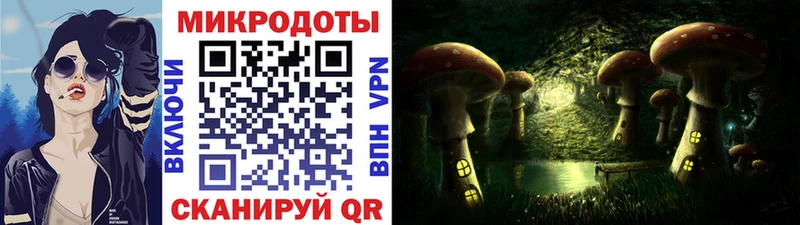 Купить где  Топки  Псилоцибиновые грибы ЛСД 